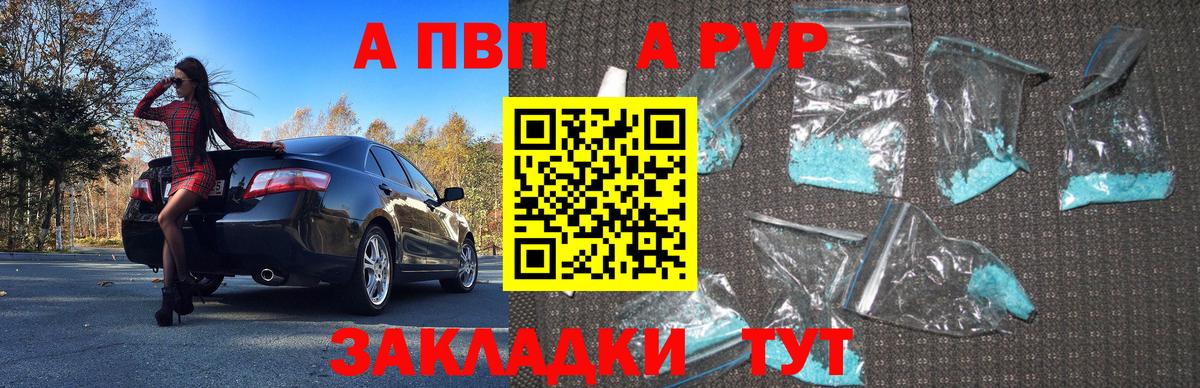 APVP крисы CK Асино