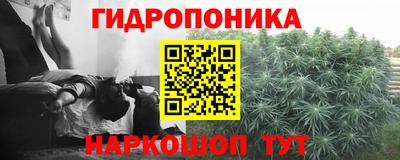 мяу мяу мука Норильск