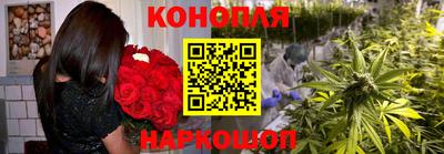 мдпв Ногинск