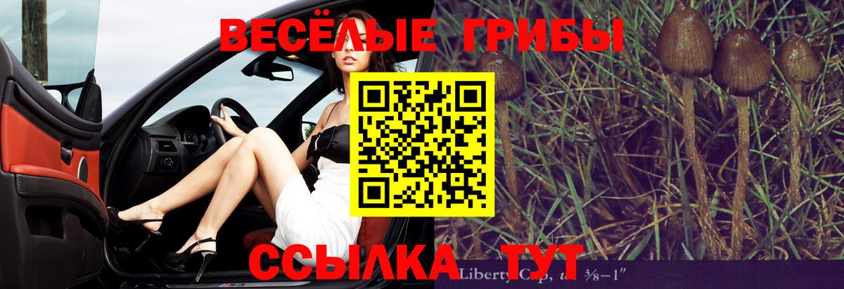 Асино  Галлюциногенные грибы мухоморы  Вход с VPN 