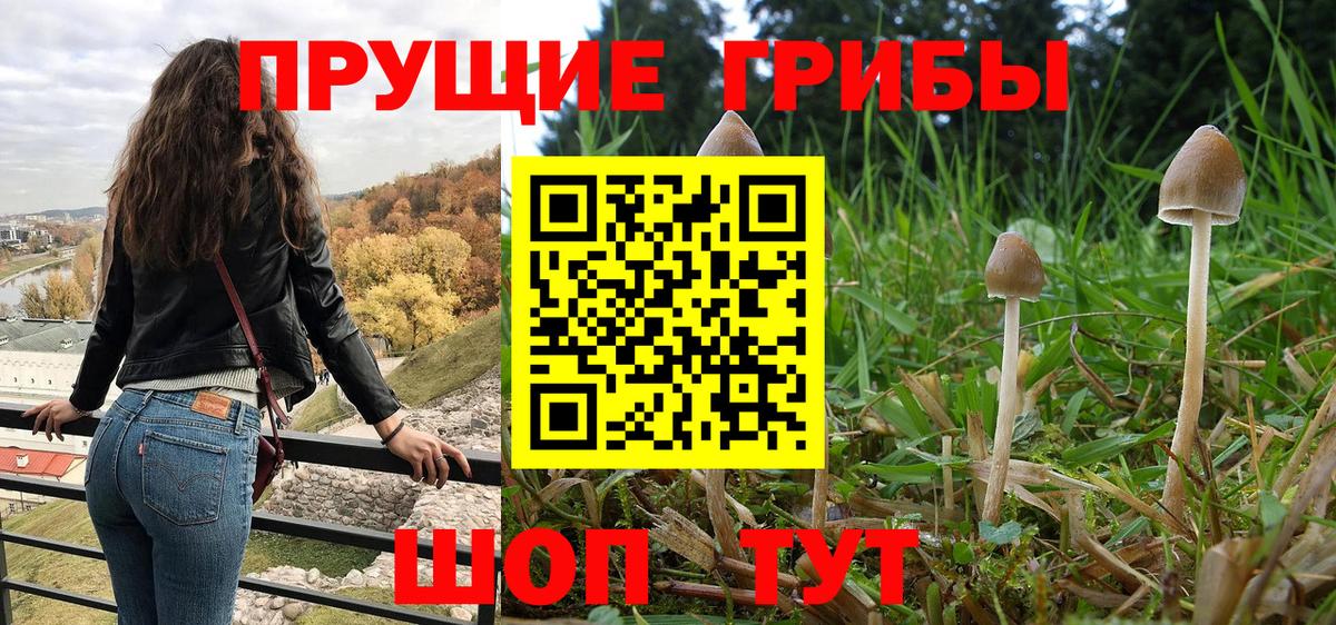 Галлюциногенные грибы MAGIC MUSHROOMS Асино